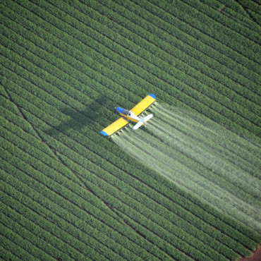 Agrochemical Crop